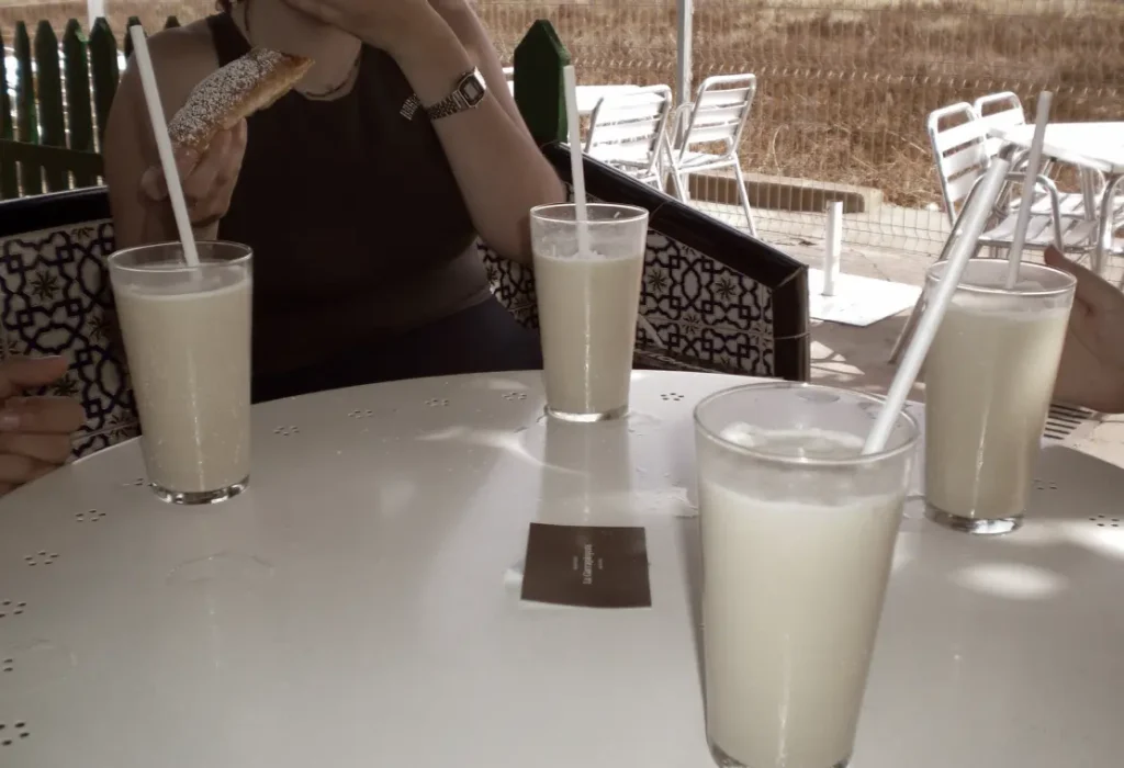 horchata_brand_design_La_Garrapinyera_David_Mercier